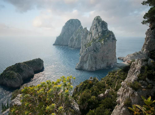 Capri