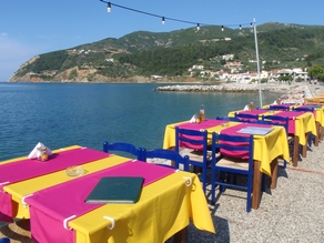 restaurants aan boulevard in Skiathos